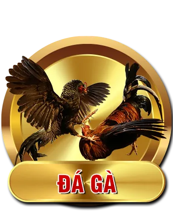 123B – Trải nghiệm nhà cái cược trực tuyến siêu nhanh 7 Cock 123B