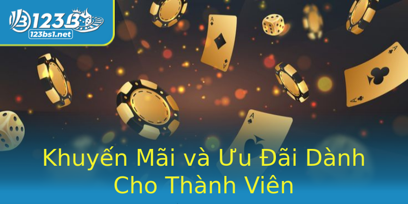 Khuyến Mãi và Ưu Đãi Dành Cho Thành Viên Khuyến Mãi và Ưu Đãi Dành Cho Thành Viên