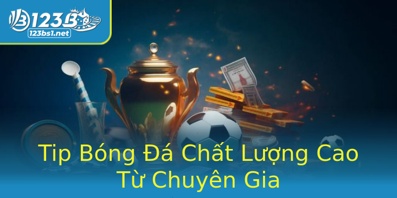 Tip Bóng Đá Chất Lượng Cao Từ Chuyên Gia